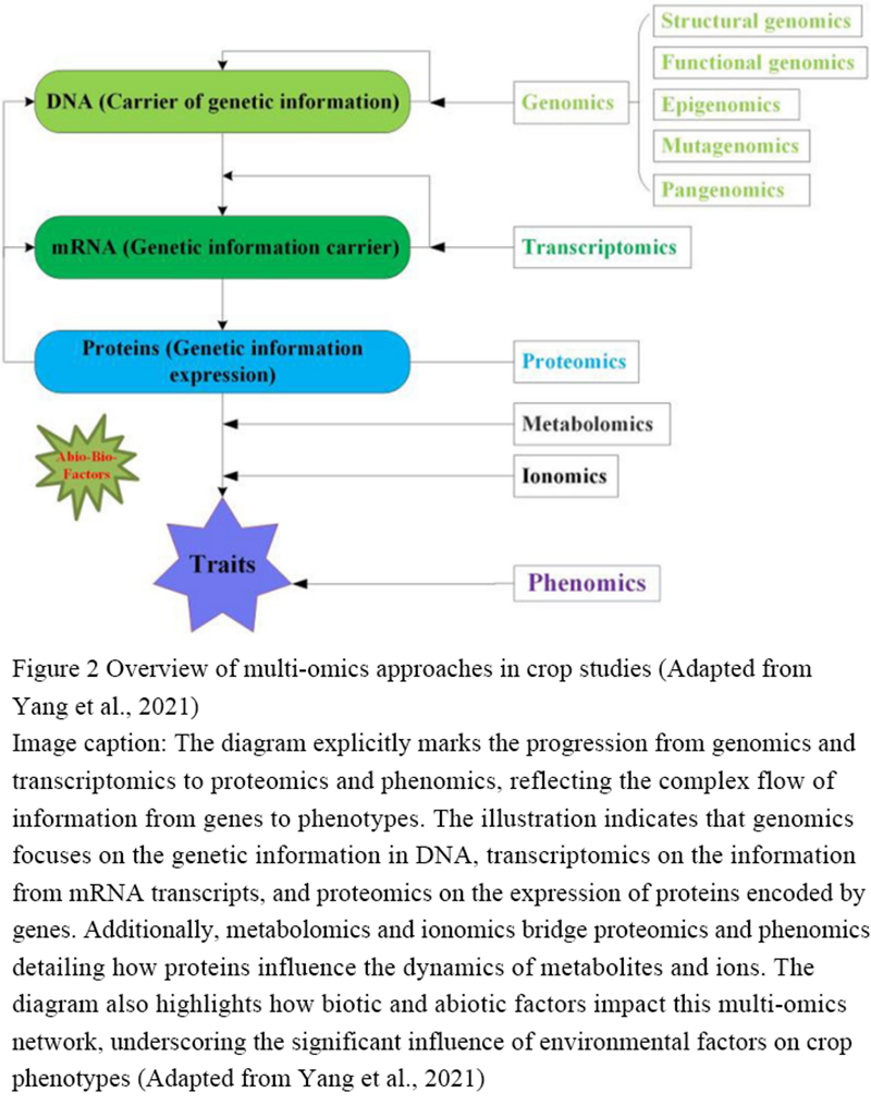 Integrative Omics: Metabolomics and Transcriptomics in Tea Research ...